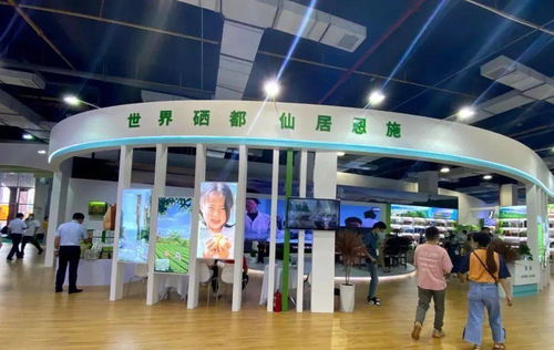 建南多款產品閃耀硒博會，舞今信息引領科技新風尚