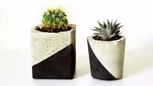 人靠衣裝，肉靠盆裝 遇上它，多肉也能時尚感十足